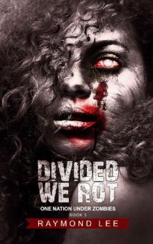 Divided We Rot (One Nation Under Zombies Book 3) Read online