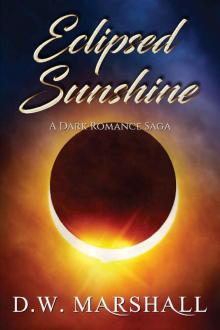 Eclipsed Sunshine Read online