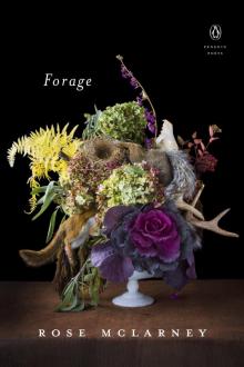 Forage Read online