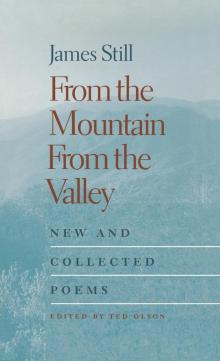 From the Mountain, From the Valley Read online
