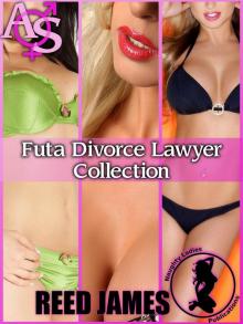 Futa Divorce Lawyer Collection Read online