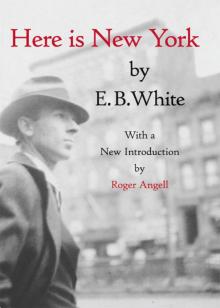 Here Is New York Read online