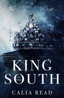King of the South Read online
