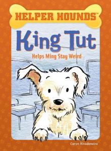 King Tut Helps Ming Stay Weird Read online