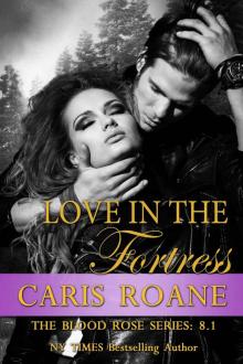 Love in the Fortress Read online