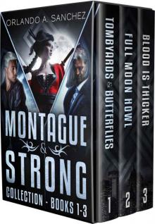 Montague & Strong Detective Novels Box Set: Montague & Strong Detective Novels Books, 1 through 3 (Montague & Strong Case Files) Read online