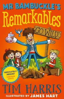 Mr Bambuckle's Remarkables Go Wild Read online