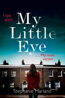 My Little Eye Read online