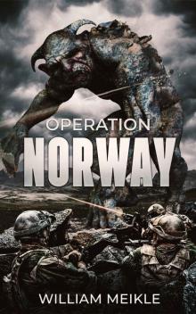 Operation Norway (S-Squad Book 7) Read online