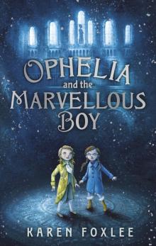Ophelia and the Marvellous Boy Read online