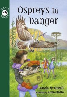 Ospreys in Danger Read online