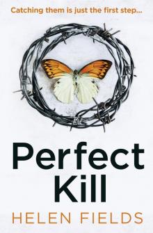 Perfect Kill Read online