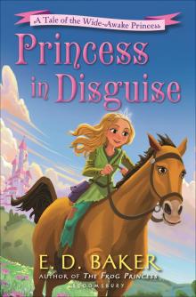 Princess in Disguise Read online