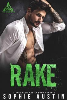 Rake: A Dark Boston Irish Mafia Romance (The Carneys Book 1) Read online