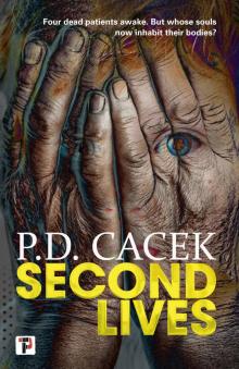 Second Lives Read online