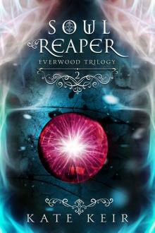 Soul Reaper Read online