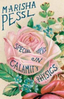 Special Topics in Calamity Physics Read online