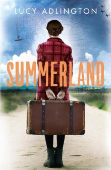 Summerland Read online