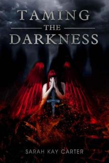 Taming the Darkness Read online