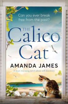 The Calico Cat Read online