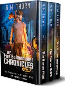 The Fire Salamander Chronicles Series: Books 1 - 3: The Fire Salamander Chronicles Series Boxset Book 1 Read online