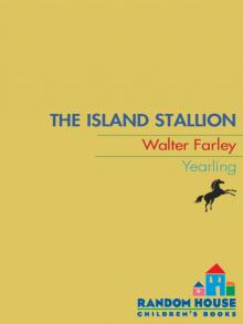 The Island Stallion Read online