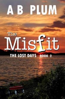The MisFit Series (Book 2): The Lost Days Read online