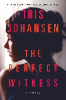 The Perfect Witness Read online