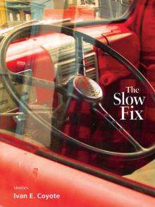 The Slow Fix Read online