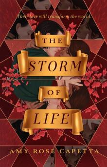 The Storm of Life