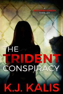 The Trident Conspiracy: A Gripping Vigilante Thriller Read online