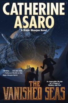 The Vanished Seas (Major Bhaajan series Book 3) Read online