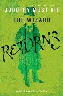 The Wizard Returns Read online