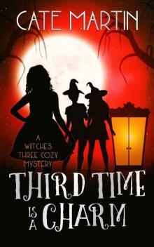 Third Time is a Charm Read online