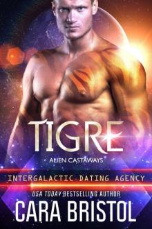 Tigre Read online