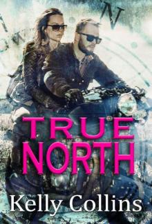 True North Read online