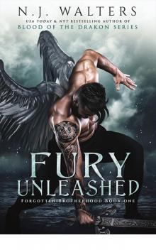 Unleashed Fury (N.J. Walters)