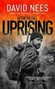 Uprising: Book 2 in the After the Fall Series Read online