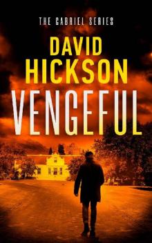 Vengeful: A Conspiracy Crime Thriller (The Gabriel Series Book 3)