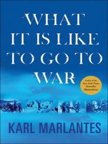 What It Is Like to Go to War Read online
