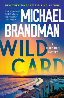 Wild Card Read online