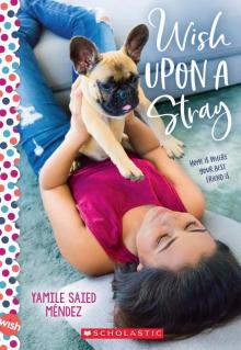 Wish Upon a Stray Read online