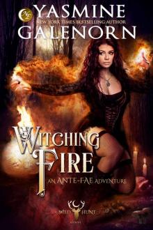 Witching Fire: A Wild Hunt Novel, Book 16