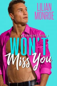 Won't Miss You: A Brother's Best Friend Romance (We Shouldn't Book 4) Read online
