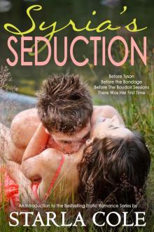 Syria's Seduction: A New Adult Introduction to the Boudoir Sessions Read online