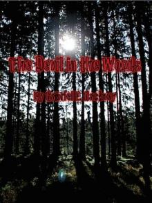 The Devil in the Woods Read online