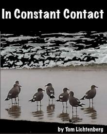 In Constant Contact Read online