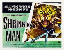 The Incredible Shrinking Man Read online
