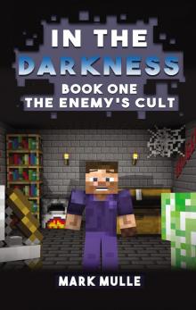 In the Darkness (Book 1): The Enemy's Cult Read online