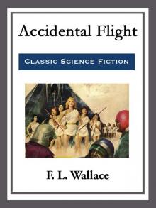 Accidental Flight Read online
